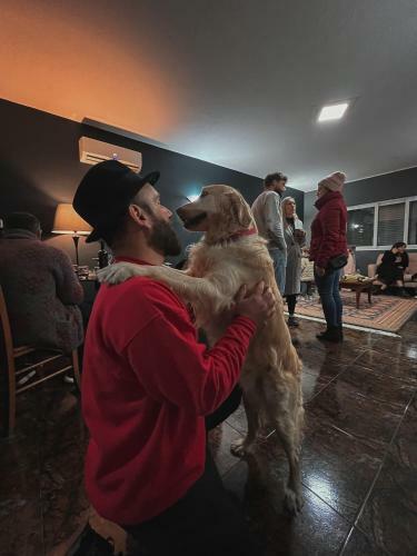 The Bearded Dad Hostel
