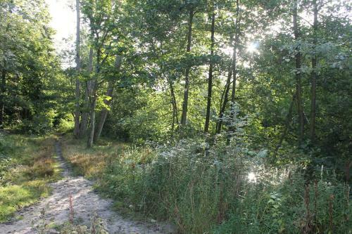 Apartamento Bosch Duin Strand