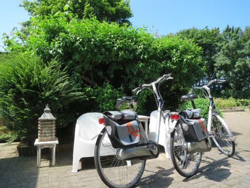 B&B Vloedlijn Texel