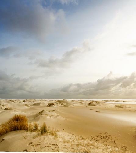B&B Vloedlijn Texel