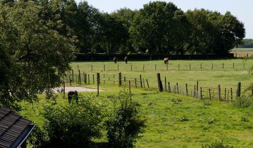 Bed & Breakfast Pension Het Rustige Heuveltje