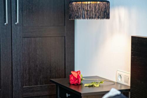 C�lido Apartamento Con Piscina En Barcelona
