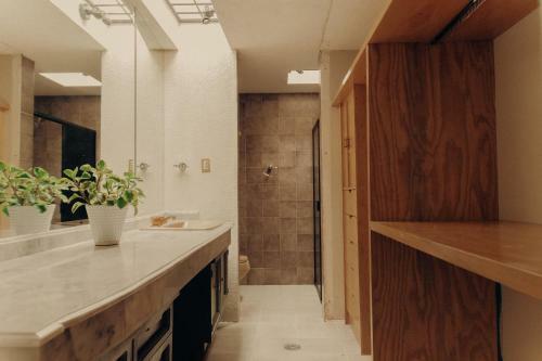 Bed & Breakfast Casa Lul� Coyoac�n