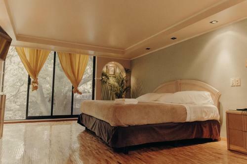 Bed & Breakfast Casa Lul� Coyoac�n