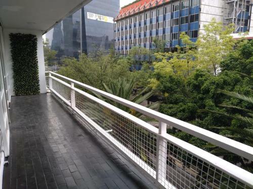 Modern Masaryk Apartment 3br In Polanco