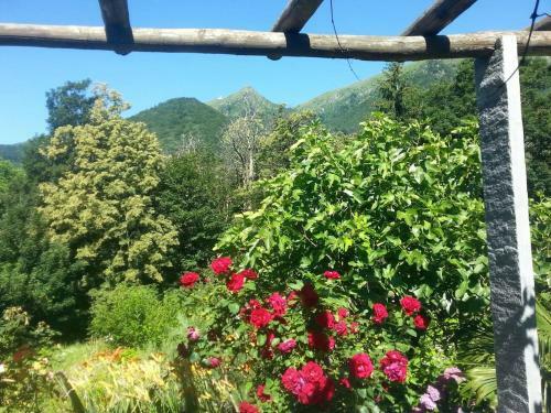Apartamento Casa H�rlimann
