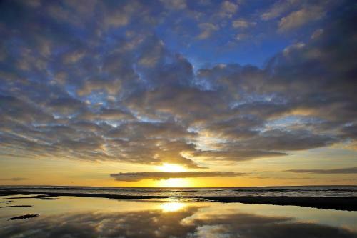 Bed & Breakfast Witte Weelde Texel