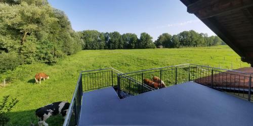 Apartamento Exclusiv - Ferienwohnung Hinterreiter