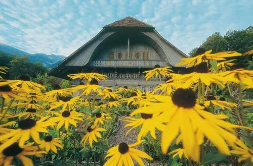 Homestay Brienz
