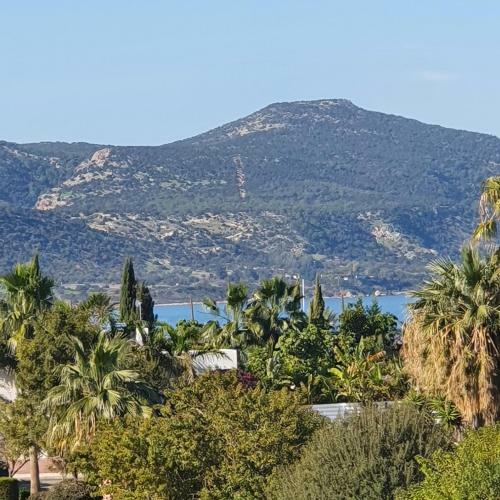 Apartamento Ithaki, 2 Bedroom Penthouse