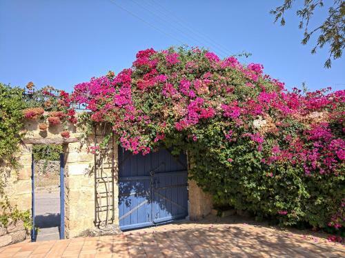 Villa Peace House Kyrenia