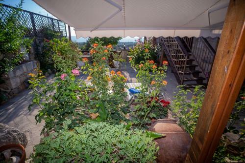 Iocasti Cottage By Agroholidays