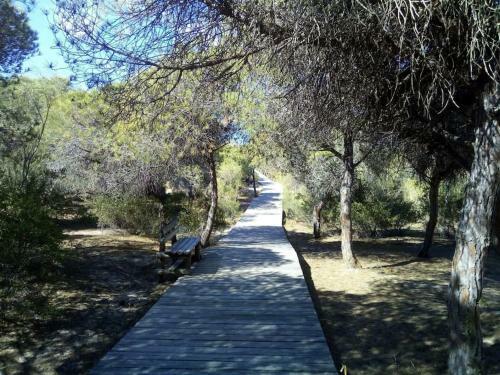 Apartamento Residencial Punta Candor