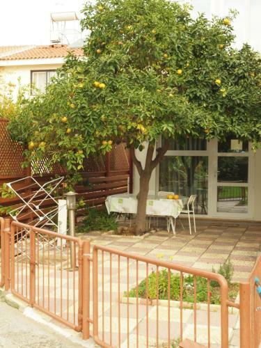 Hostal Moon-light Studio