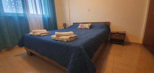 Vasilas Holiday Apartment #1