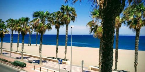 Apartamento Premi�re Ligne de Mer