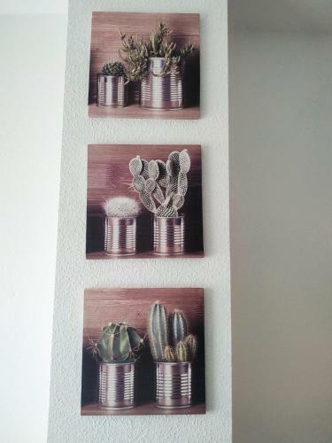 Apartamento Barlovento