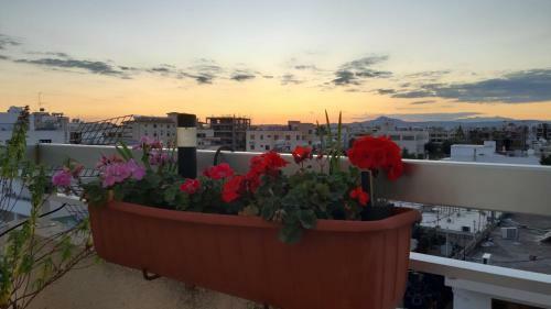 Alkaeos Holiday Rooms & Apartments