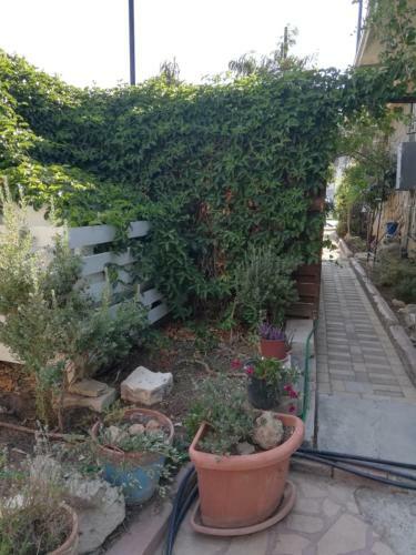 Apartamento Swallows Nest