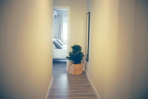 Apartamento Pinsapo (Centro Ciudad)