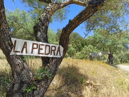 Casa Rural La Pedra