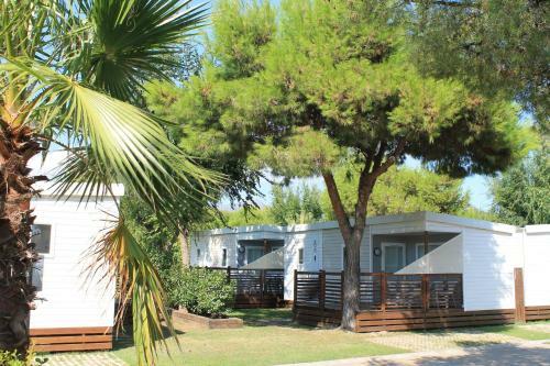 Camping Rodas