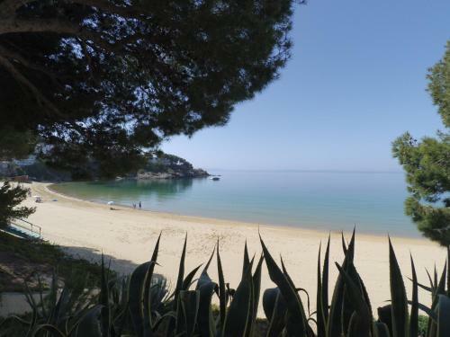 Apartamento New Madrague Sun