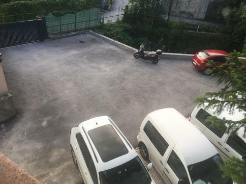 Apartment Green