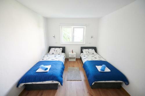 Lovely House Apartment
