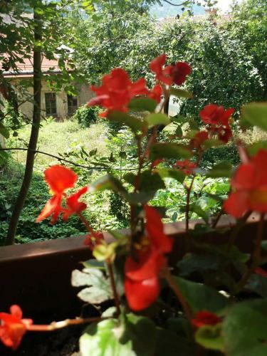 Hostal Abaguesthouse