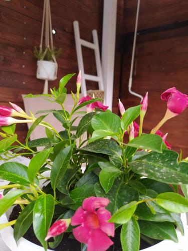 Apartamento Holiday Home Ane
