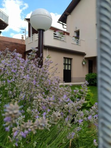 Apartamento Holiday Home Ane