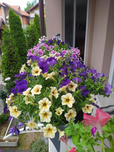 Apartamento Holiday Home Ane
