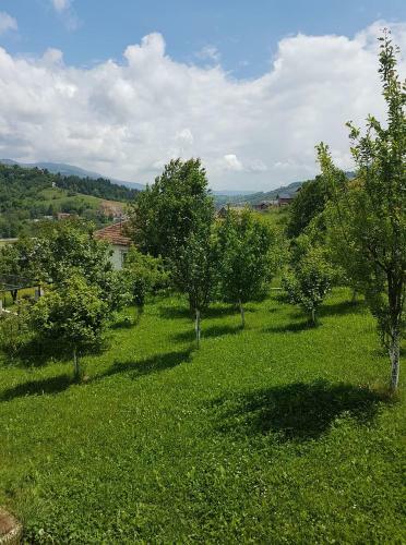 Villa Fruit Garden