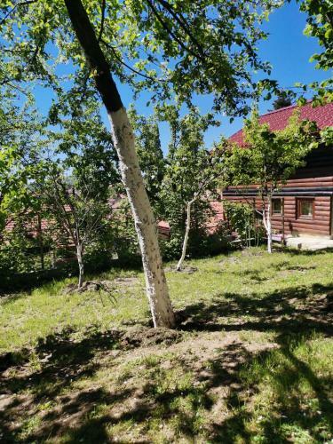 Apartamento Bungalow 2- Za Max 5 Osoba