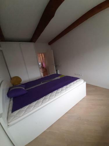 Divina Apartments