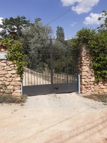 San Jos�