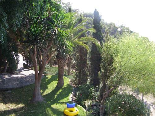 Casas Las Gaviotas Y Palmito