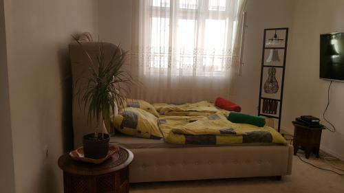 Apartman Sahara