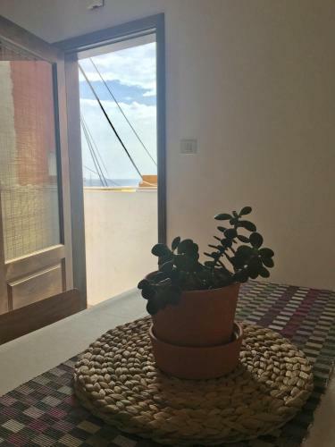 Apartamento Casa Teresita
