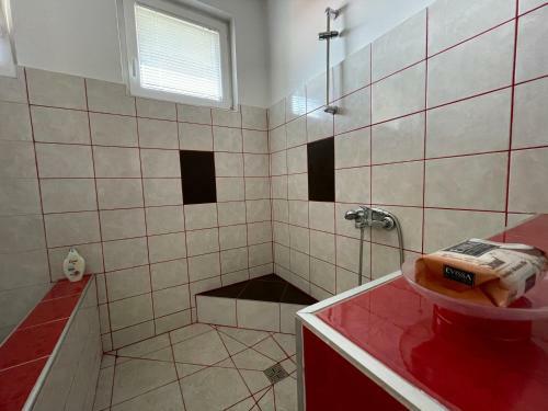 Apartments In Villa For Rent