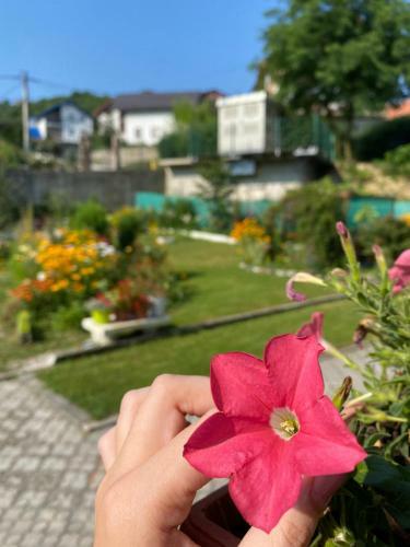 Family Flower House