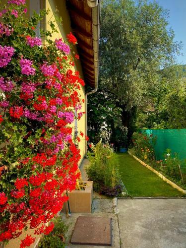Family Flower House
