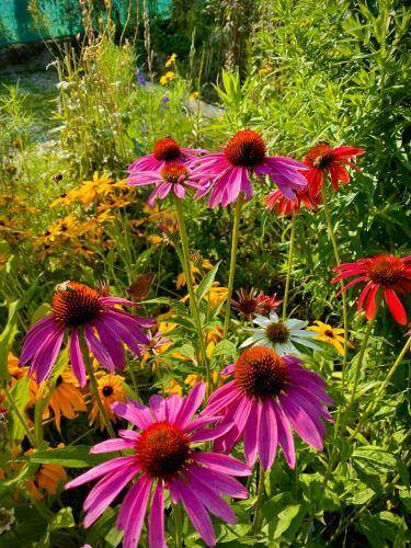 Family Flower House
