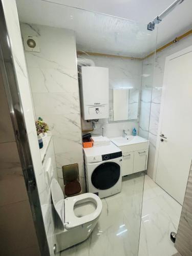 Apartment 7