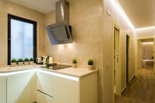 Rent Apartments Salamanca Isidro Segovia