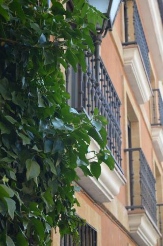 Apartamento My Home In Salamanca
