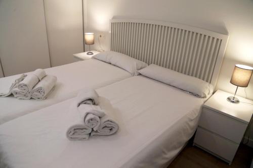 Apartamento Plaza Monterrey (Parking Opcional)