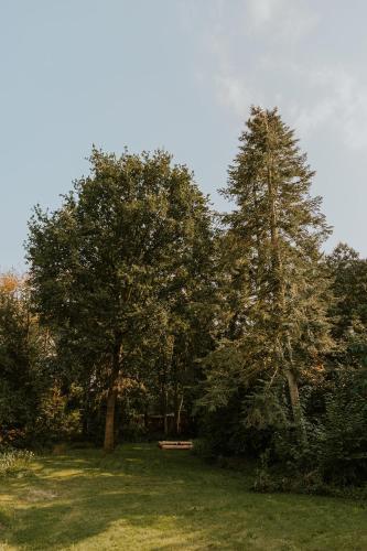 Kipdorp39