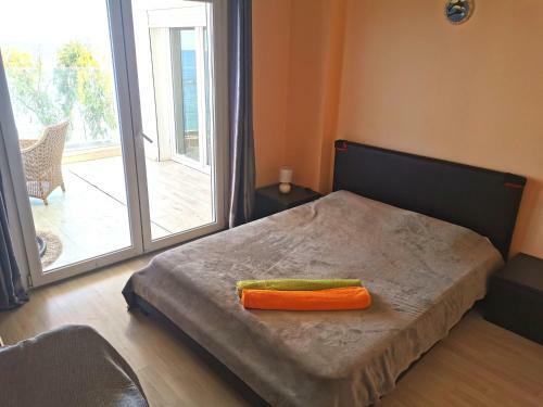 Beachfront Suites - Best Location Peaceful Green Place